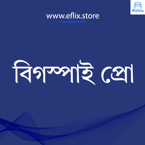 বিগস্পাই প্রো ১ মাস